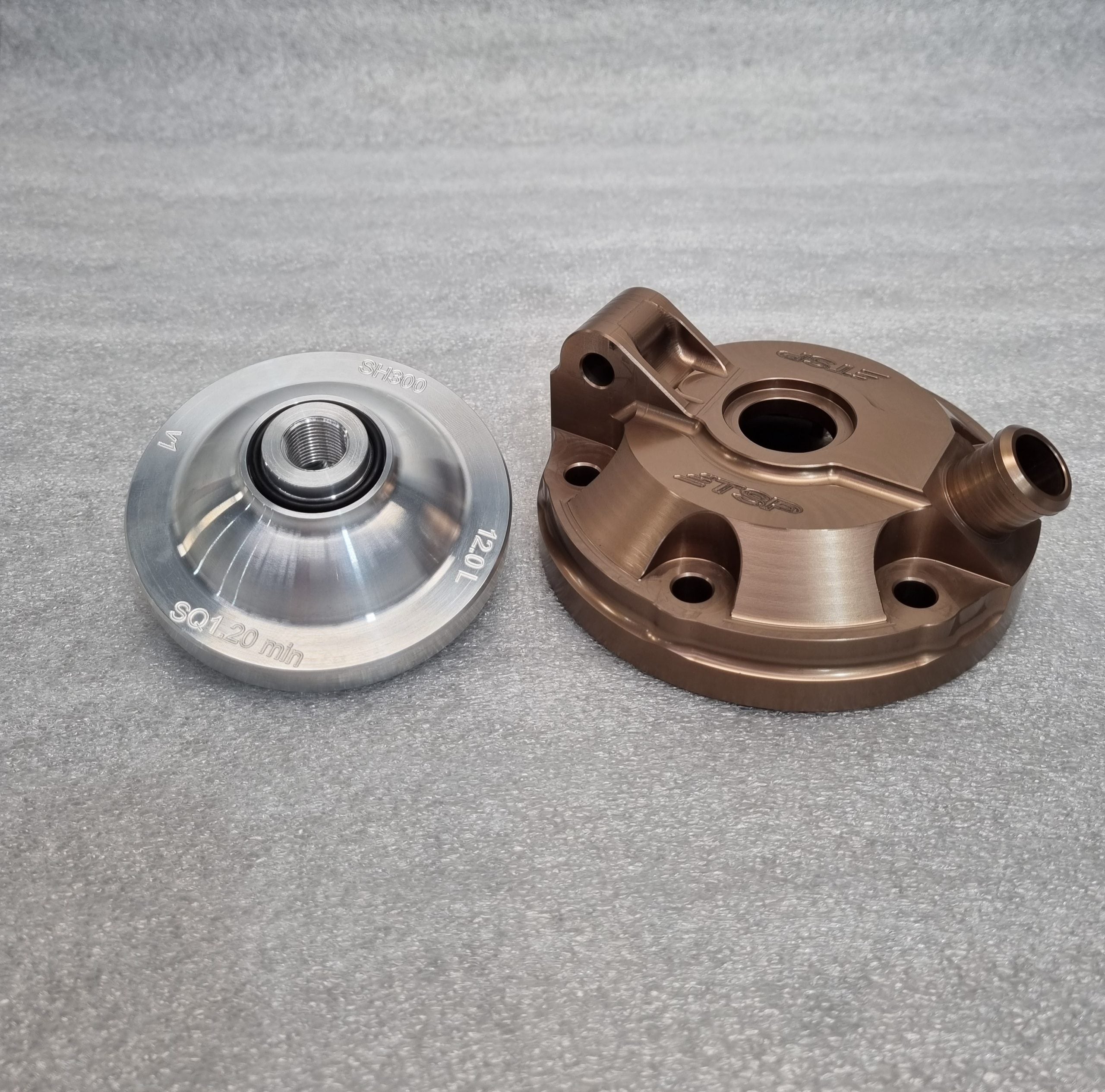 TSP Sherco 300 head