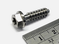 KTM Screw F. Plastic K60x20al Sw6