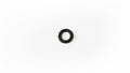 Clake-O-Ring-Seal-for-DC-Slave-Cylinder.jpg