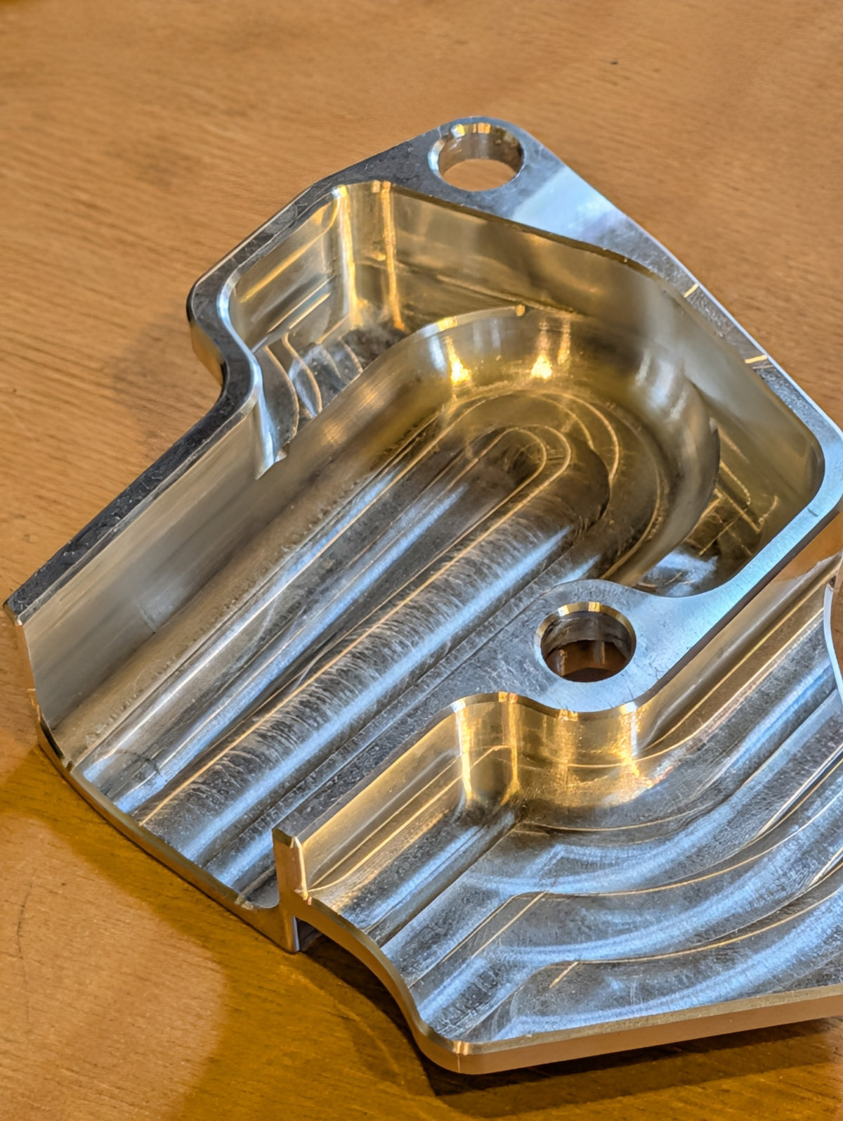 IBEX Billet Throttle Body Guard