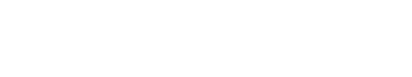 Two Stroke Performance logo